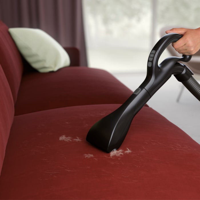 Electrolux - Sesalnik - PD82-8DB