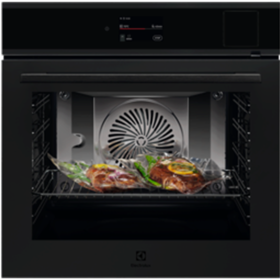 900 ProAssist s SteamPro