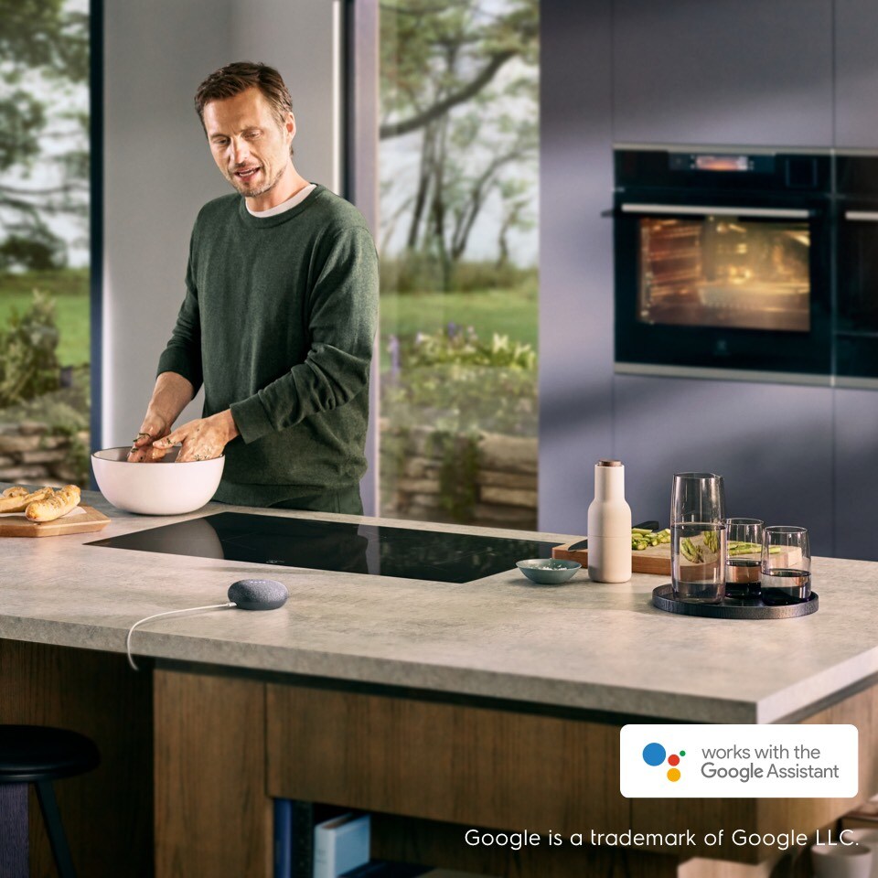 Google Assistant Google Assistant